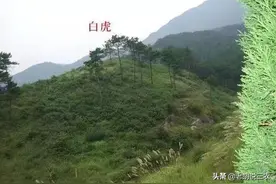 农村俗语：“白虎穿堂过，人亡家也破”是真的吗？听听老农怎么说图片