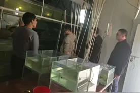 乡村振兴 |“量身”定产业！泰宁这个乡的扶贫很精准图片