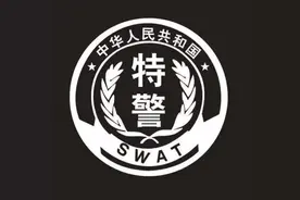 帅！全国公安特警标志臂章图集图片