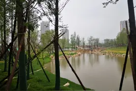 人工增雨助力降水 9日前陕西还有一次明显的区域性降水天气过程图片