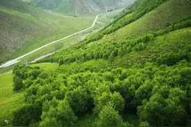 内蒙古自驾游D2下：徜徉辉腾锡勒黄花沟大草原图片