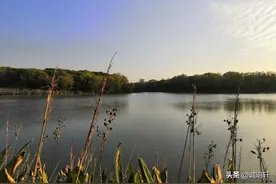 聪明的人“为腹”，愚蠢的人“为目”|《道德经》第12章图片