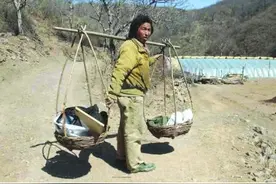 北大才子王青松，带妻子隐居山林11年，花光350万，后来咋样图片