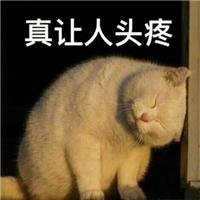 word文档有一条横线删不掉怎么办（Word中烦人的页眉横线就是删不掉这里有4种删除方法一看就会）