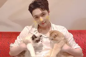 张艺兴与两只猫同框，猫的表情才是亮点图片