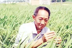 禾下乘凉袁隆平的健康管理秘籍图片