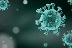 抗生素治疗新冠肺炎？是时候扒一扒细菌和病毒的前世今生了图片