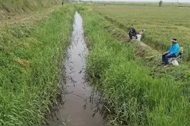 这不是钓鱼，这是钓虾，并且是小龙虾图片