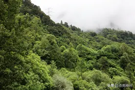 318自驾西藏攻略7：“通麦天险”还险吗？真实情况和传说的不一样图片