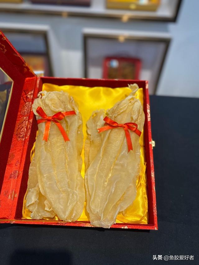 花胶 发苦能吃吗 2026年花胶 发苦能吃吗有毒吗