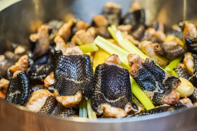 鳄鱼肉可以煲花胶吗 2026年鳄鱼肉可以煲花胶吗视频