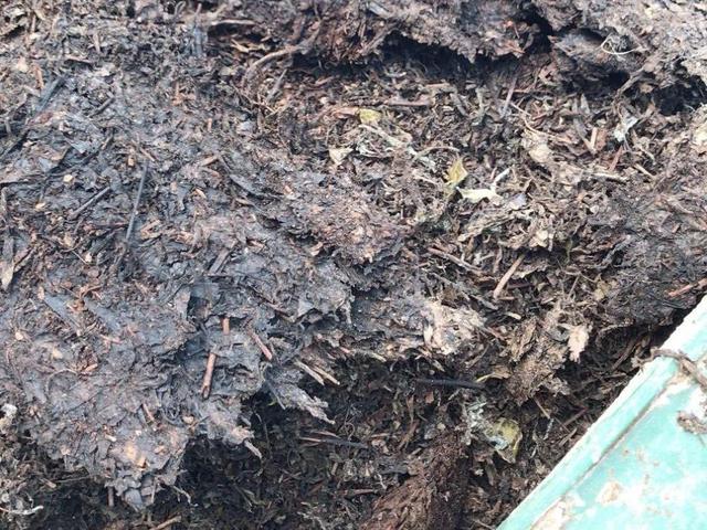 养分含量超高的营养土，自己在家也能做，省下一大笔 买花钱