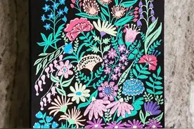 别只知道用蜡笔画画，“高光笔”画出来的效果，美得让人无法抵抗图片