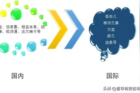 化妆品行业四大有利因素及六大进入壁垒分析（附报告目录）图片