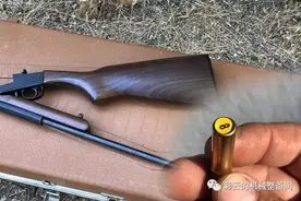 冷门的9mm福楼拜霰弹，用撅把单打一发射，专打花园蛇鼠虫图片