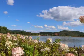 【宝格达山·归流河纪行⑧】药材福地醉美乡遇——索伦镇走出生态美、产业兴、百姓富可持续发展之路图片