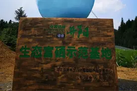 助农团团丨林下散养，健康美味口感极佳的开阳生态富硒鸡蛋图片