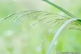 我的六位姑姑都是天使、活菩萨图片