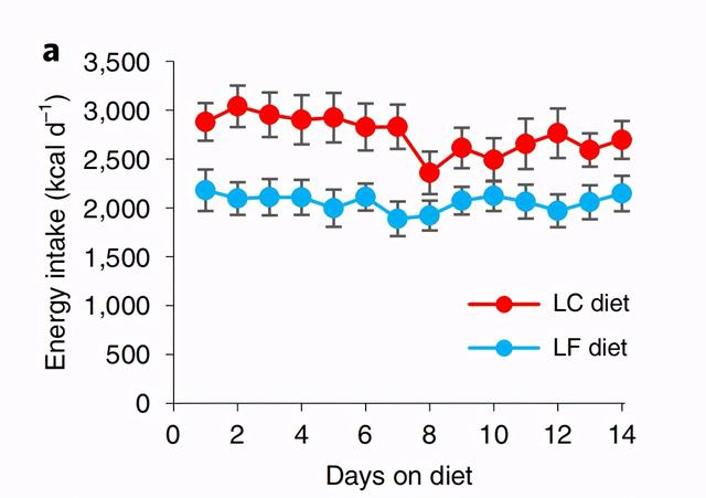 范志红老师（应该没有）刻意抹黑生酮饮食