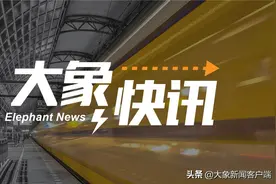 6岁4个月儿童全部入学！2021年郑州市区小学招生线上报名9月1日开始分三个时段图片