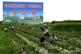 贵州安顺：“塘约经验”新时代农村改革典范图片