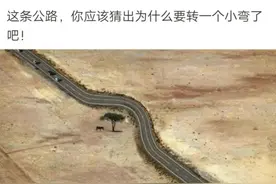 “这条公路为什么要转一个小弯？”脑洞太大了吧哈哈哈~图片