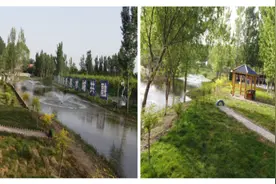 让白洋淀更加清澈靓丽——走访安新县雁翎沟综合治理工程图片