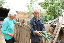 7旬老村长摘8根黄瓜给客人解渴，游客掏出10元，老人一看直接翻脸图片