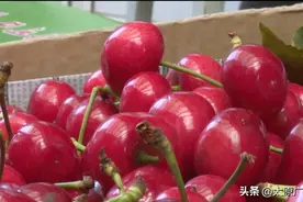 五月正当季！太原多种水果集中上市，价格美丽又可口图片