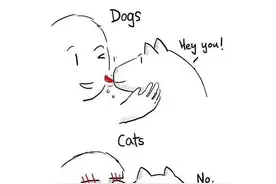养猫和养狗的差别，简直不要太真实图片