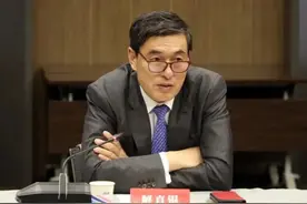 万亿“中植系”，解直锟的“黑石”梦图片