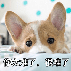 8���������ѧϰ����վ�����������ѧ��Ƶ���߹ۿ����������