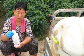 农药兑好后，放多久会失效？喷洒农药，兑药也有讲究图片