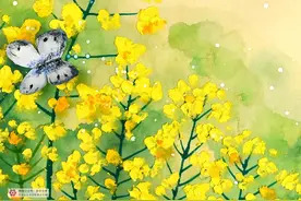 儿童画教程｜油画棒画《金灿灿的油菜花》图片