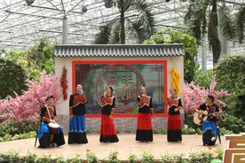 期待！她用一双巧手把“泥巴”捏成花，让人难辨真假图片