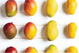 最好吃的芒果图鉴指南图片