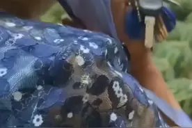 一阿姨因西瓜太甜报警，要求水果摊摊主退款！网友：做个甜度适中的西瓜好难图片