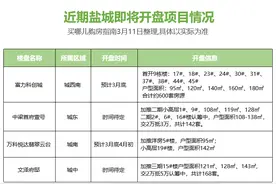 抢先看！盐城这些项目即将开盘！哪些楼盘值得关注图片