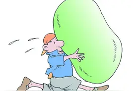 @厦门人 伏天解暑热 试试冬瓜汤冬瓜 浑身都是宝，夏吃冬瓜，利尿消肿除心火图片
