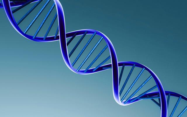 全球已有约120个 CDS病例被报道，它是由 ABHD 5基因突变导致的