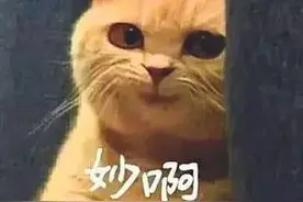 大风来了！利津发布预警信号！图片