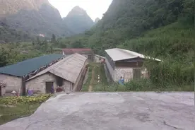 养猪小妹感叹！十年养猪路都收获了哪些？图片