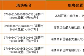 真香！150亩、2.4亿元，高新区一日成交4宗地块图片