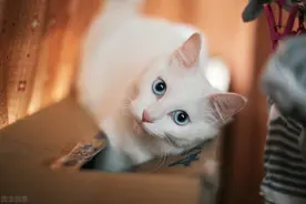 最全英语口语连读、爆破、同化等发音规则，必须珍藏图片