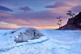 西伯利亚发现“灭绝动物”遗体，能否用基因技术复活，还不确定图片