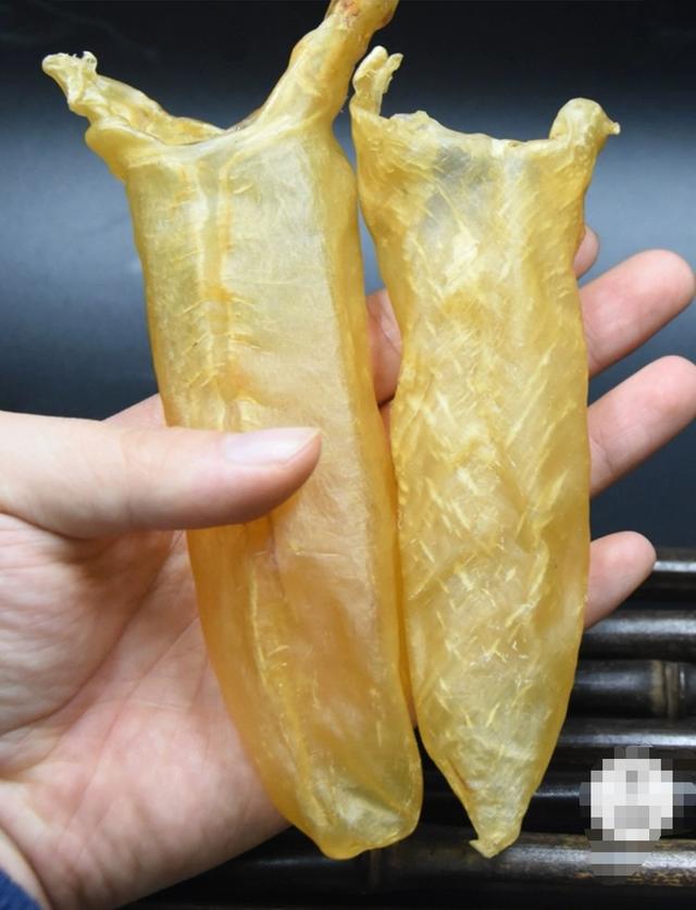 花胶煲汤会融化 2026年花胶煲汤融化了是否假