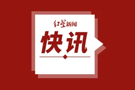 冯提莫等主播直播中演唱《小跳蛙》，斗鱼平台被判侵权图片