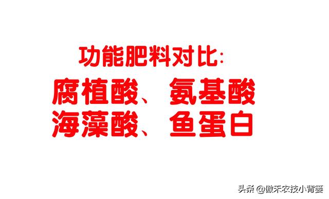 鑵愭閰搞€佹皑鍩洪吀銆佹捣钘婚吀銆侀奔铔嬬櫧锛岄兘鏄暐鑲ユ枡锛熼兘鏈夊暐浣滅敤锛? onerror=