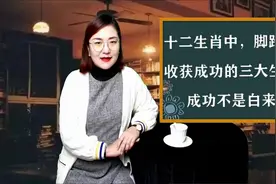 十二生肖中，脚踏实地收获成功的三大生肖，成功不是白来的视频封面