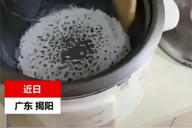 广东一女子蒸米饭，开锅的瞬间傻眼，网友调侃：这是吃了个寂寞图片